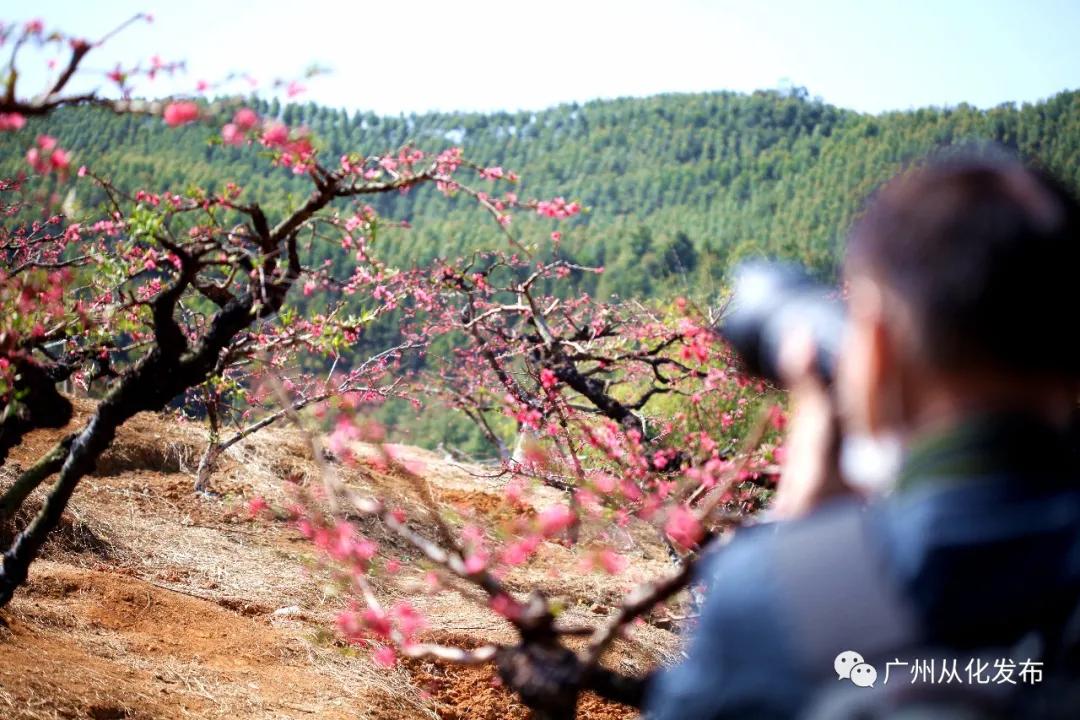 从化吕田美食攻略,从化吕田特色美食有哪些