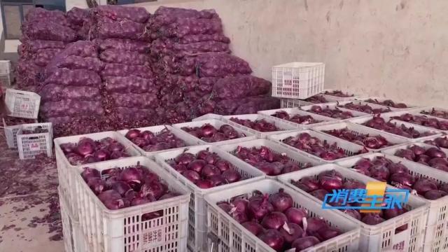 今日全国洋葱最新价格行情新闻,进口洋葱价格表