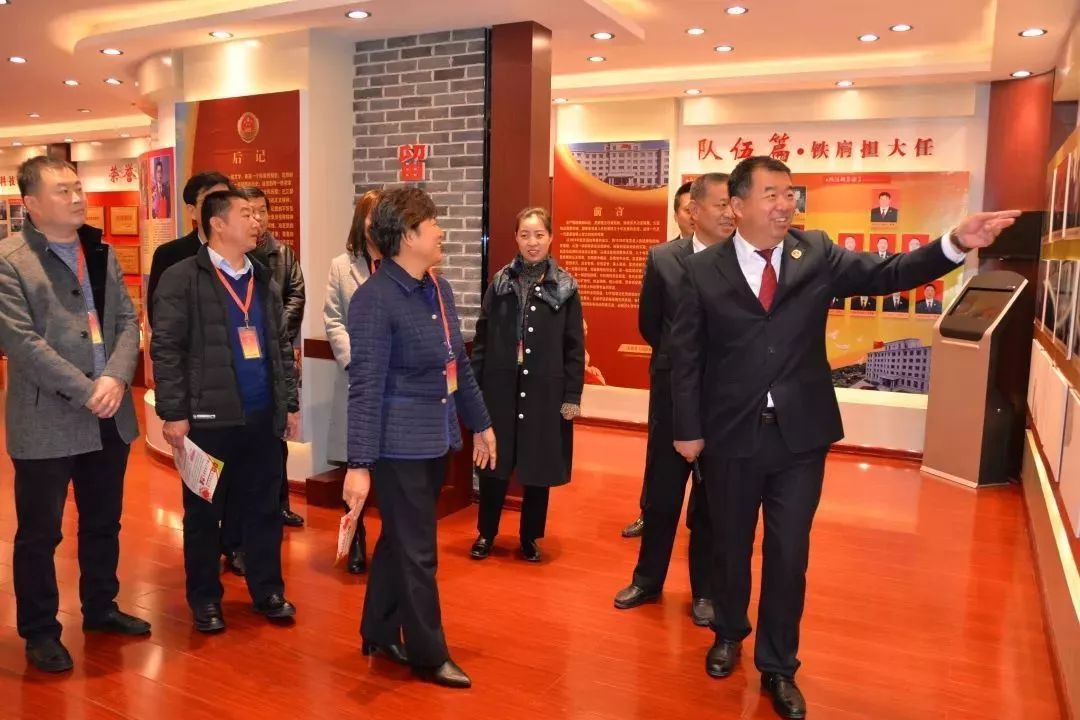 人大代表视察检察院工作发言,人大代表看检察工作