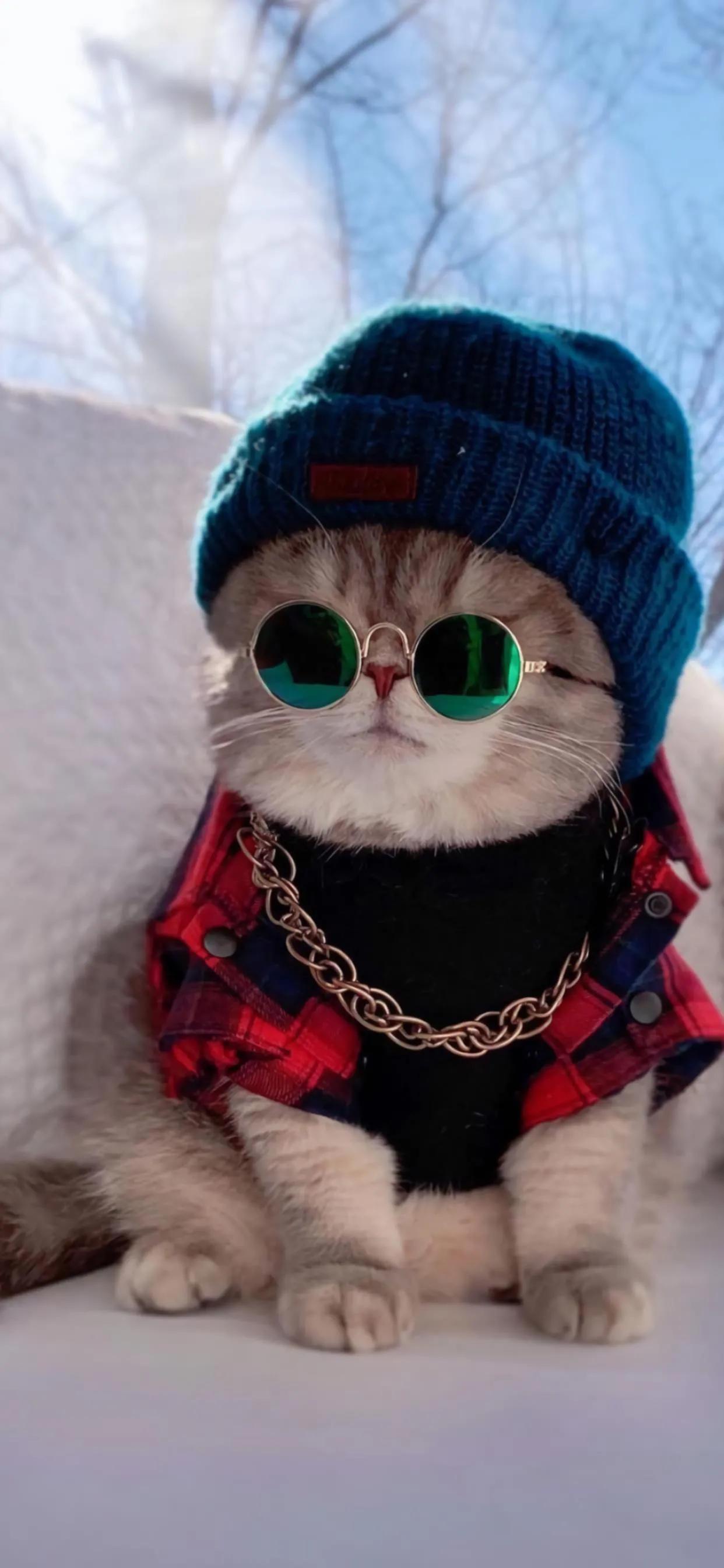 壁纸不管你做什么都要做到极致,不做别人公主只做自己的女王壁纸