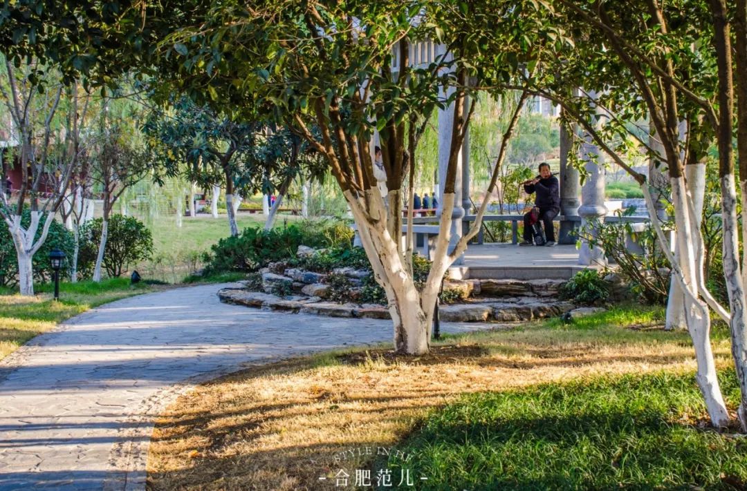 合肥大蜀山游玩攻略,合肥蜀山区最值得去的地方