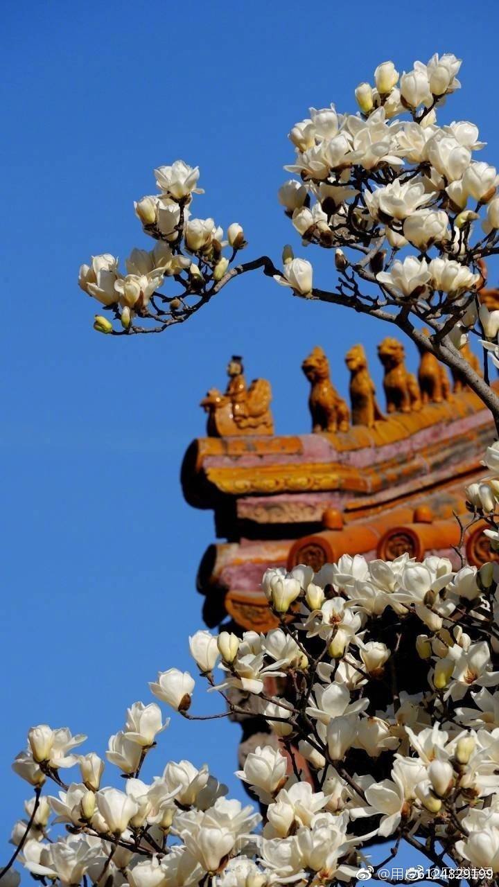 有趣的汉字读音相同,奇妙的汉字多音多义