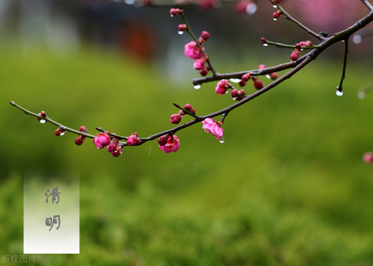 女朋友焦虑抑郁如何正确引导她,汪教授分享抑郁症有什么治疗方法