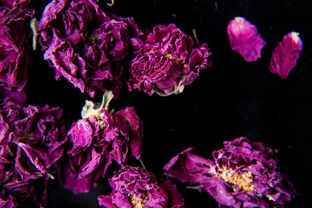 她做保姆这些年之豪门生活完整版,她做保姆这些年豪门生活267集完整