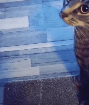 你从未见过的搞笑玩法,你从未见过的爆笑玩法