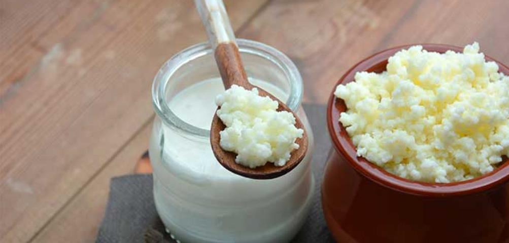 开菲尔酸奶菌和雪藏菌区别,开菲尔酸奶和希腊酸奶区别