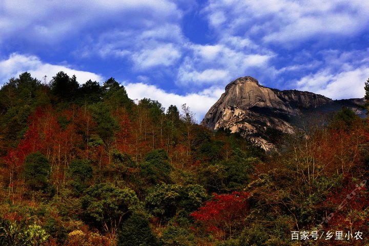 云髻山自然保护区游玩攻略,广东新丰云髻山风景区
