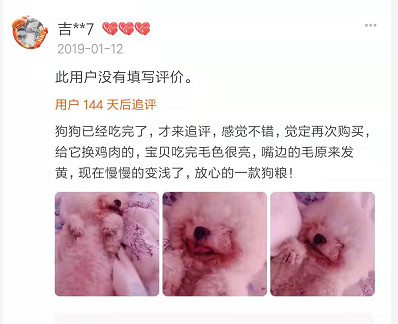 家有狗子,家有狗子视频完整版