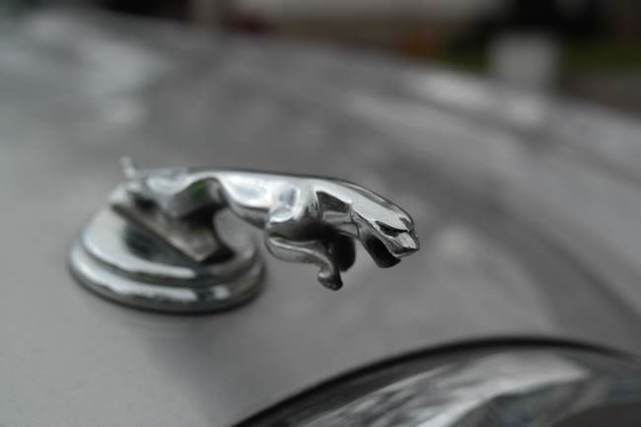 带有动物元素的车标,以动物做车标的车有哪些