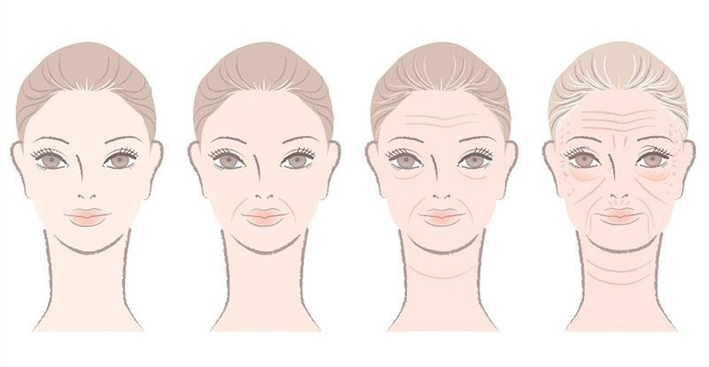 怎么辨认卧蚕和眼袋的区别,怎么分别卧蚕和眼袋的区别呢