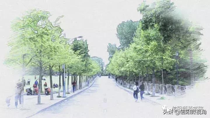 信阳师范学院漫画手绘地图高清,信阳师院美术