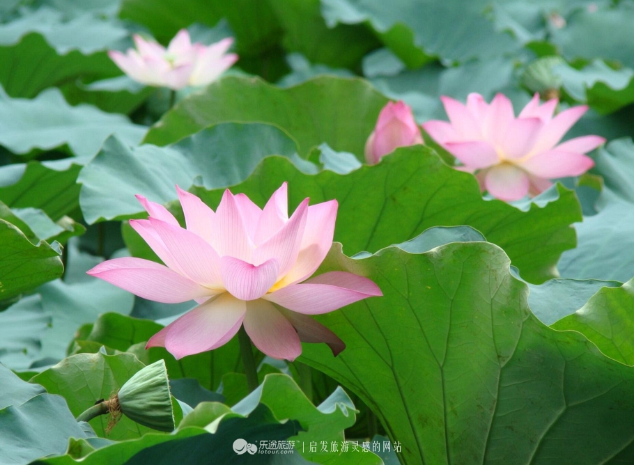 广东省韶关度假温泉,韶关周围哪里有避暑的好地方