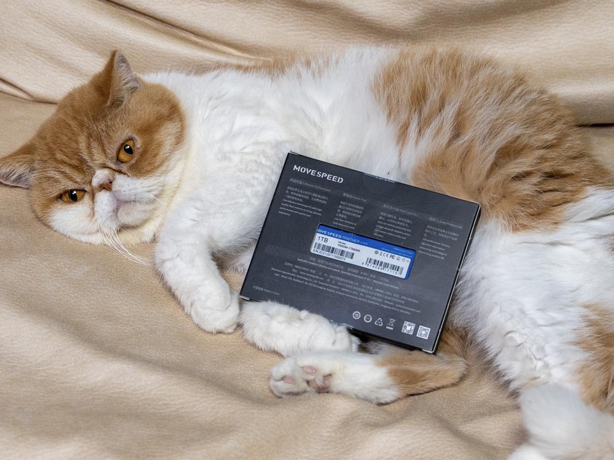 移速美洲豹1t,美洲豹固态买256的还是500的好