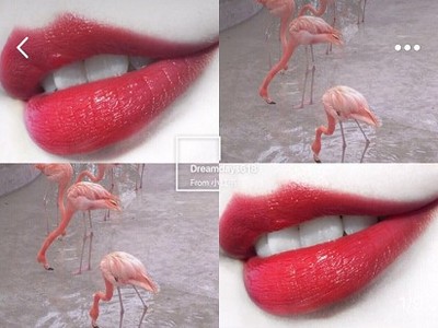 迪奥口红经典百搭系列,迪奥最值得收藏的口红限量套盒