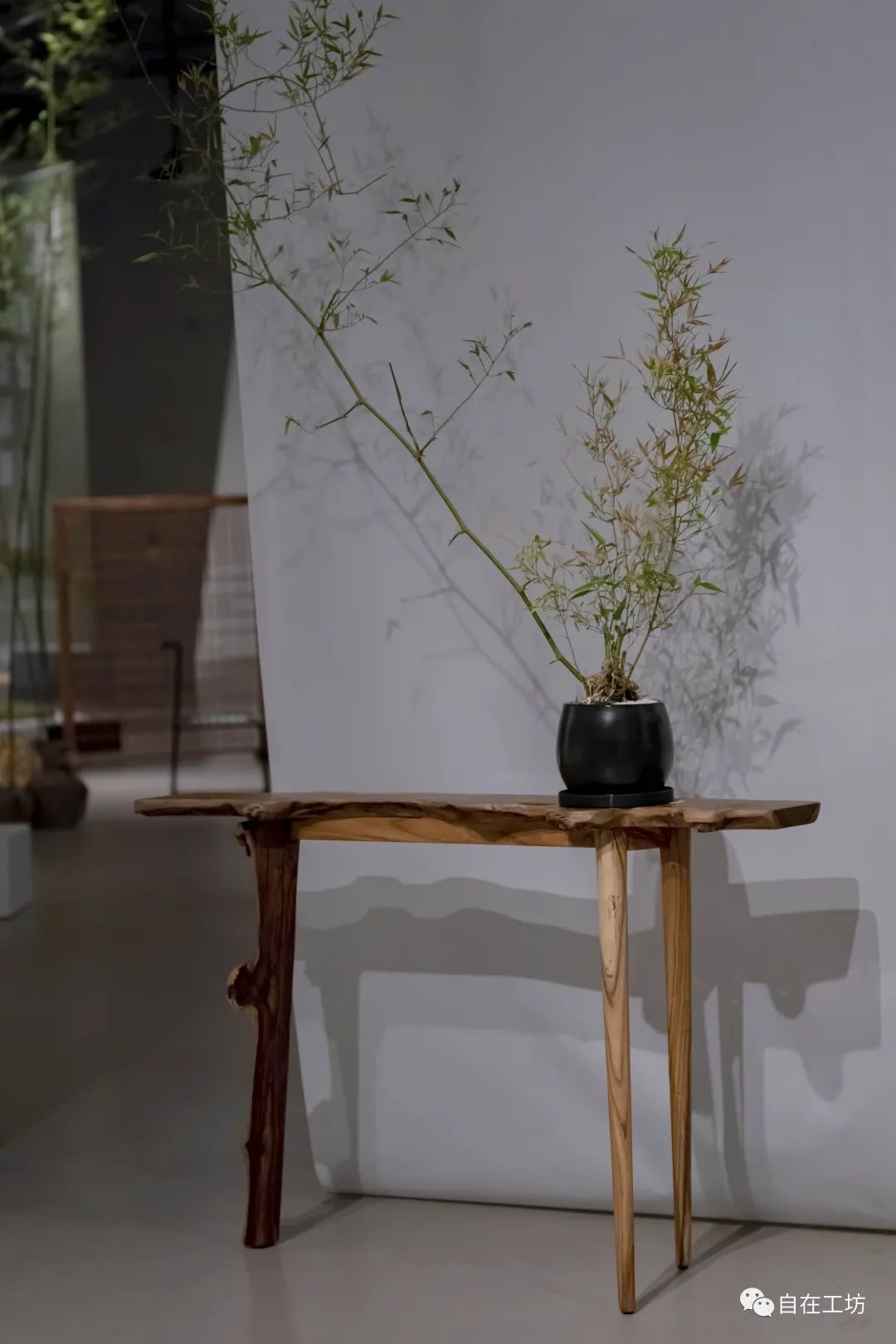 今日星推|随形赋意，自然而然-自在工坊