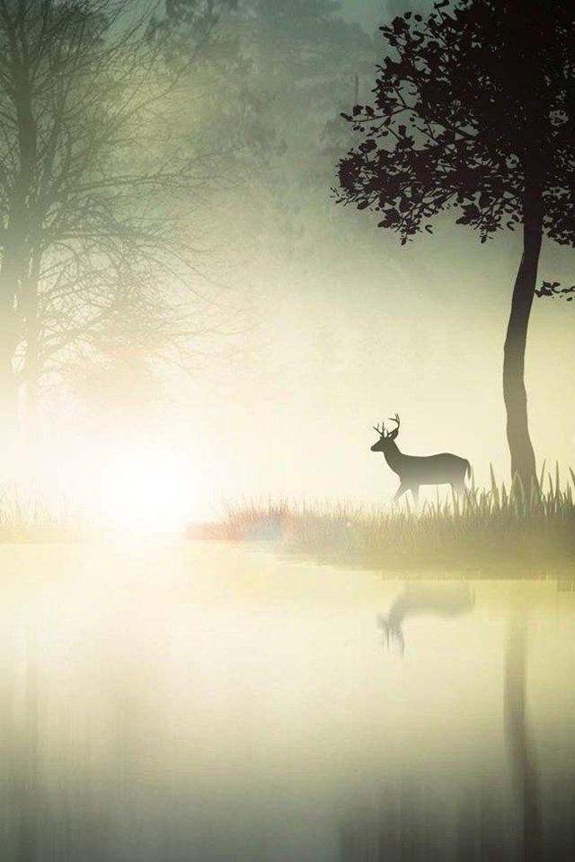 张抗抗橄榄,张抗抗的作品有哪些