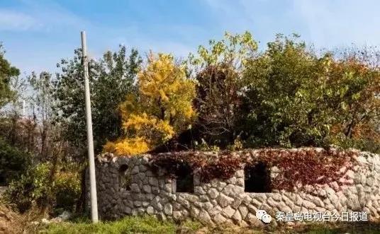 秦皇岛最早的楼房,秦皇岛十大闹市区