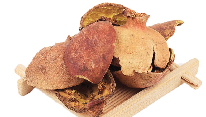 中药石榴皮别名,中药古今研究莪术