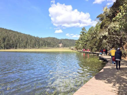 云南5日游旅游团跟团报价表,云南5日游旅游团跟团报价多少钱