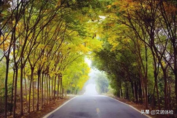 安徽旅行必去的10大景点,安徽旅行攻略必去十大景点