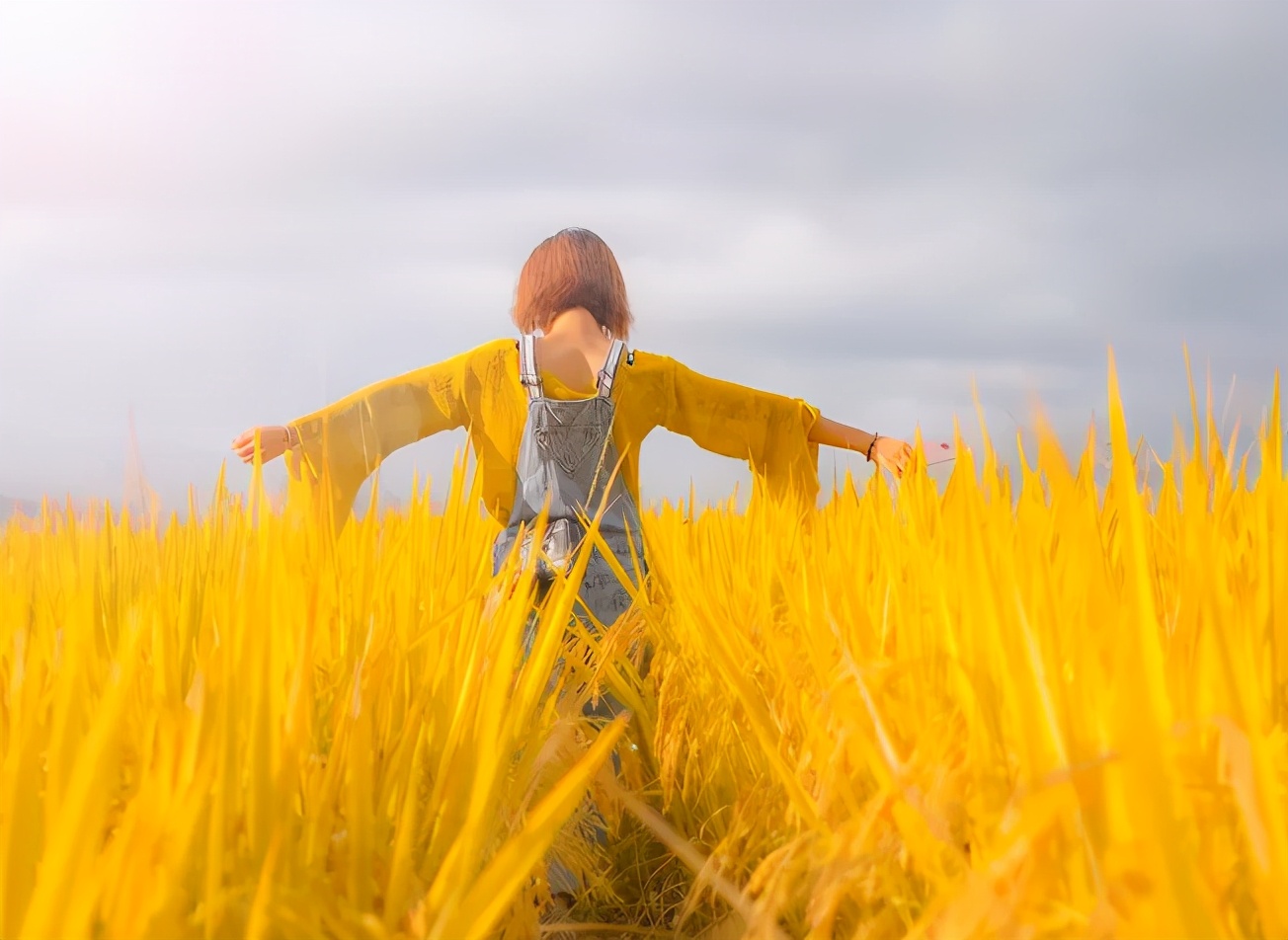 没有爱情了婚姻该怎么走下去,当你的婚姻里没有爱情怎么办