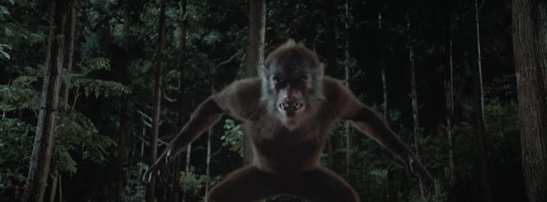 大兴安岭猎人传说在线观看完整版,大兴安岭猎人传说免费播放优酷