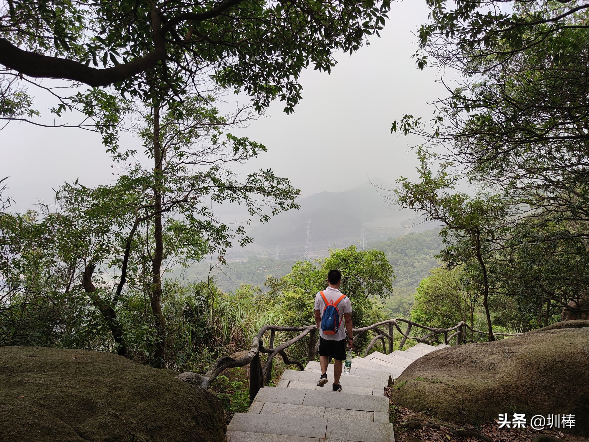 深圳最长的海岸线爬山攻略,凤凰山适合老人孩子的爬山攻略