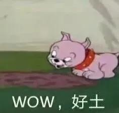 怎样分辨个人代购真假,怎么分别代购的真假