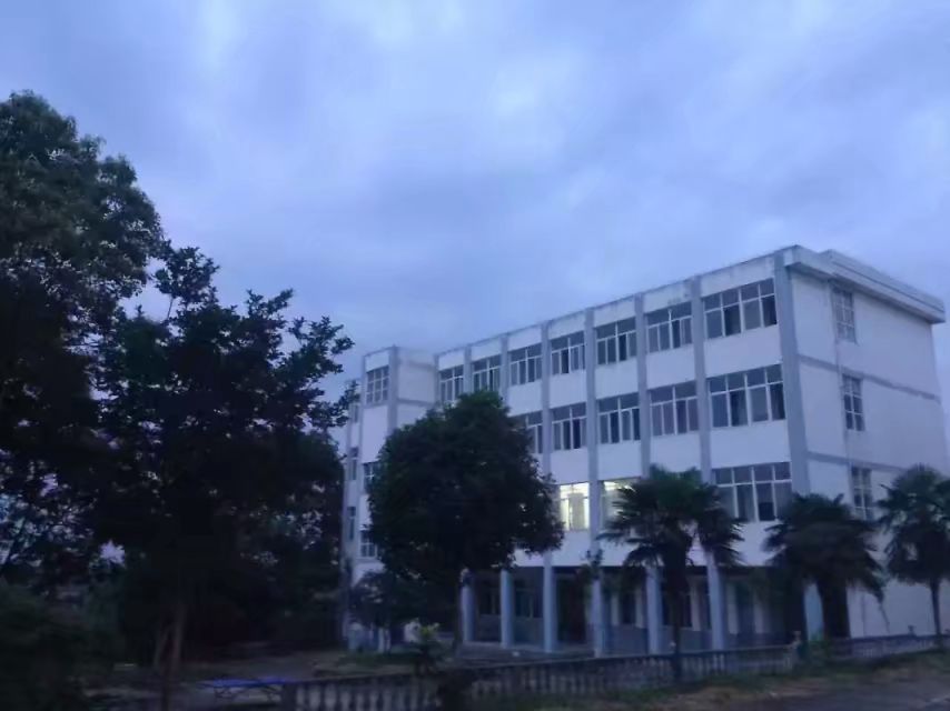 往事依依完整版视频,往事依依原文