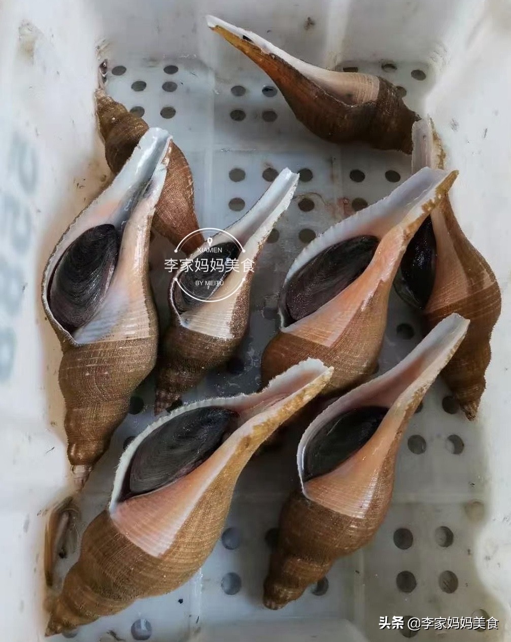 沿海特色海鲜,沿海海鲜推荐