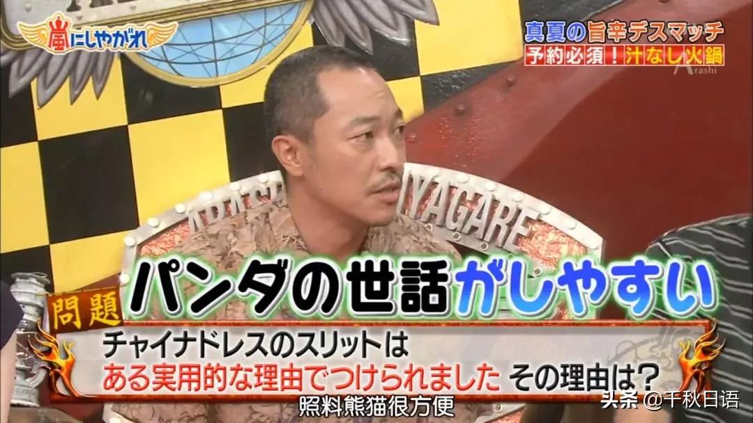 日本综艺沙雕挑战动物,日本沙雕综艺接触野生动物