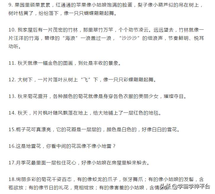 小学语文比喻句拟人句排比句,小学语文比喻句拟人句排比句句意