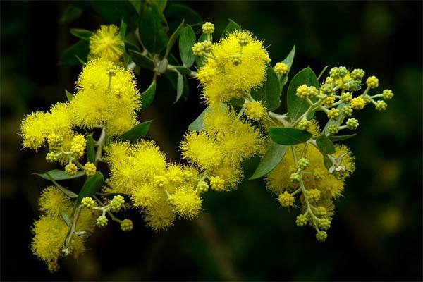 藏在足球表面的秘密,藏起所有的球衣背后的真相