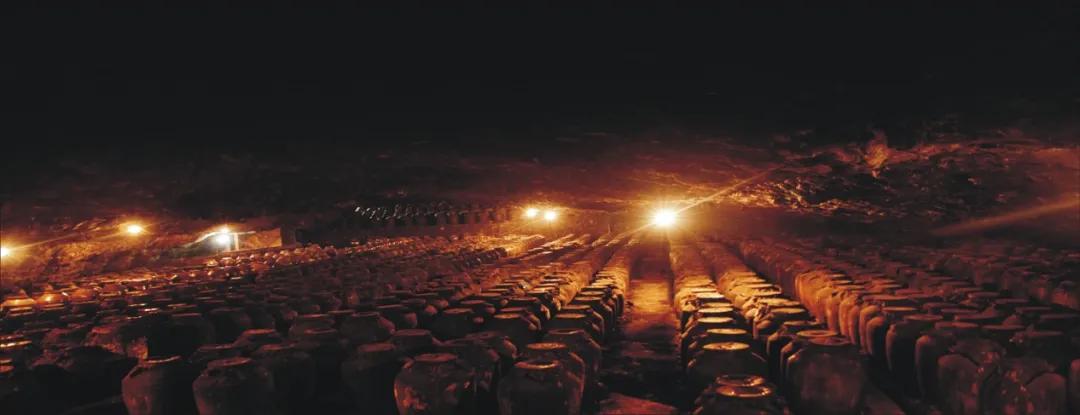 步长与长涛酒业什么关系,步长集团公司