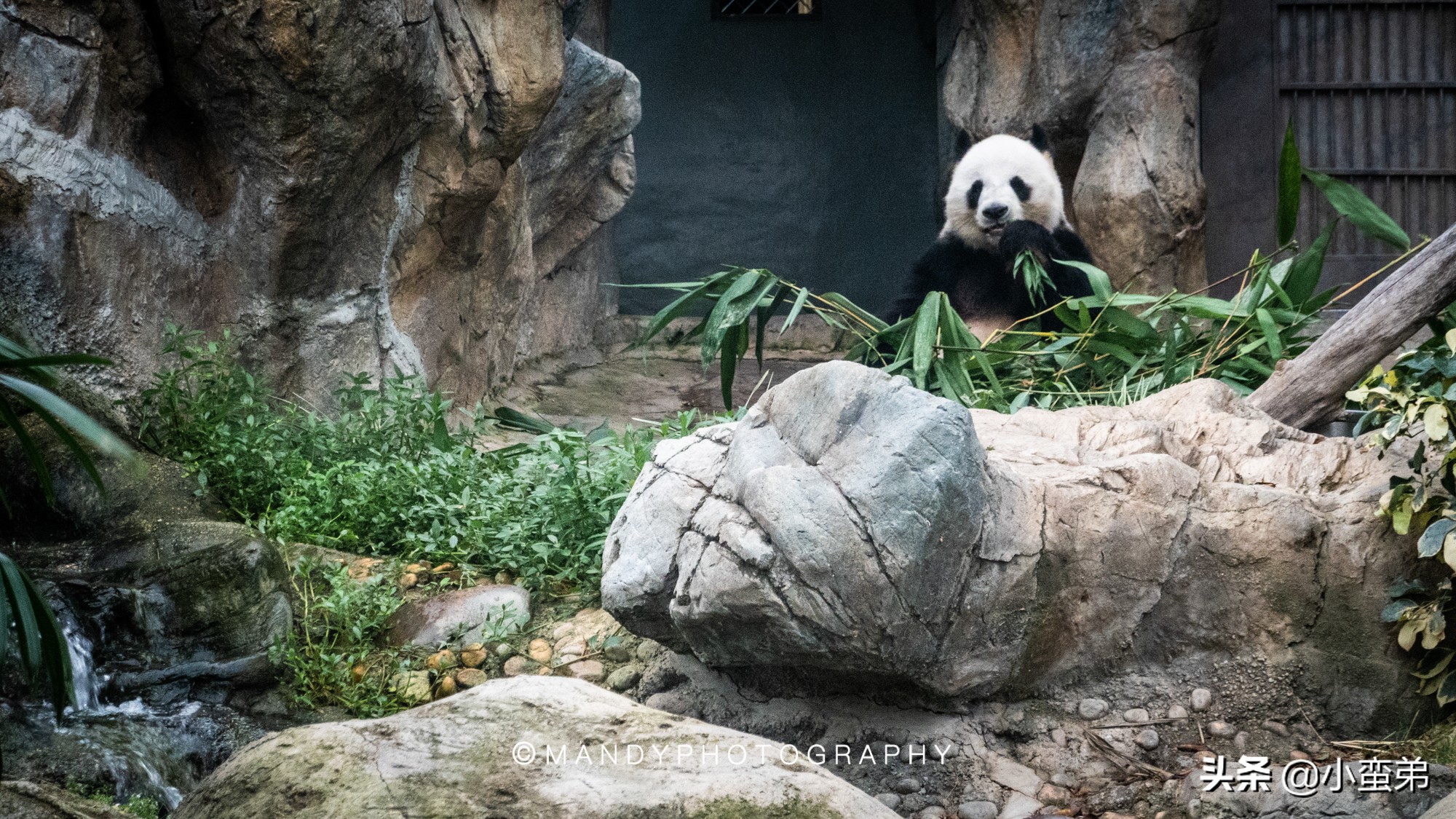 香港巡礼|是谁！敢拿水枪给20岁的海贼王庆生？