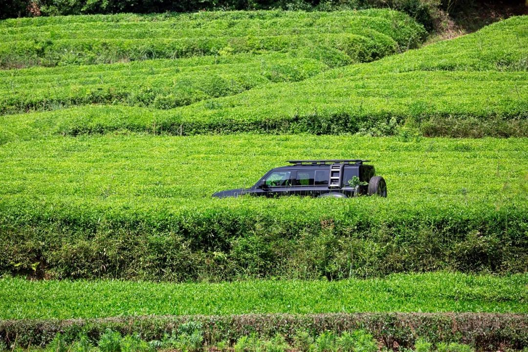 最新路虎卫士越野车,路虎卫士固特异at胎