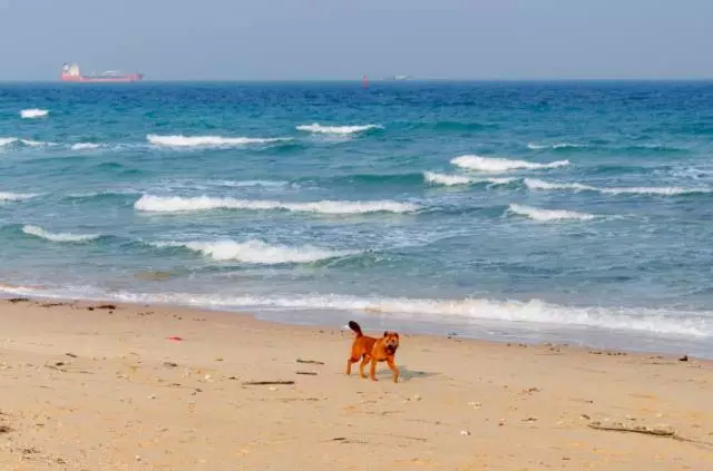 热带风景巴厘岛,享受巴厘岛热带风光的地方