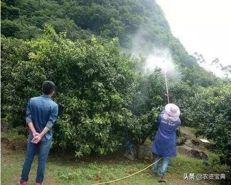 万能调节剂磷酸二氢钾,磷酸二氢钾和调节剂配比