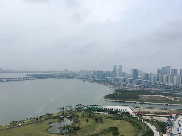 猛虎pk,猛虎vs路虎老虎