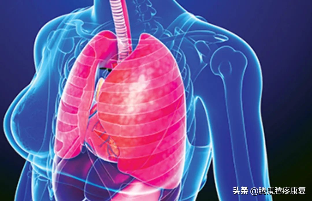 类风湿关节炎病因与发病机制,类风湿关节炎的病因与发病机制