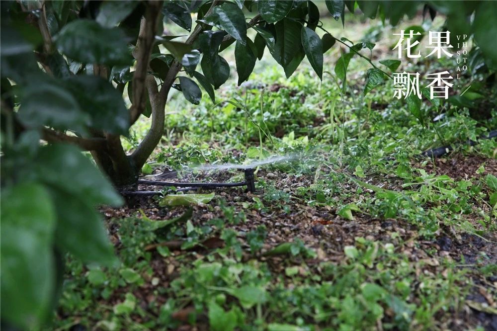 种地真的不容易一分耕耘一分收获,种地真的不容易钱难挣