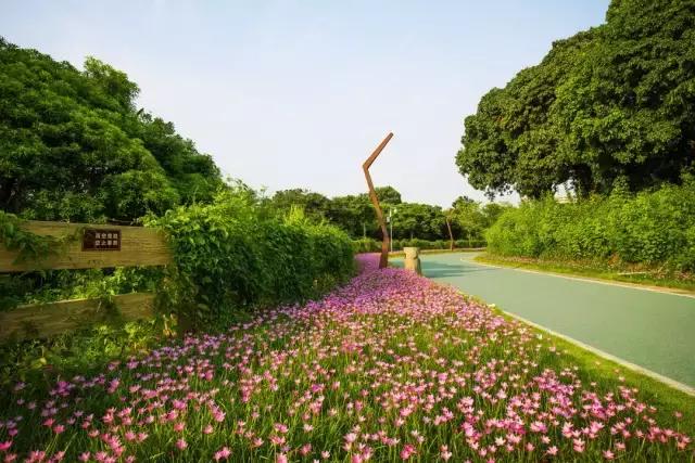 深圳经济特区的生日,深圳经济特区生日快乐