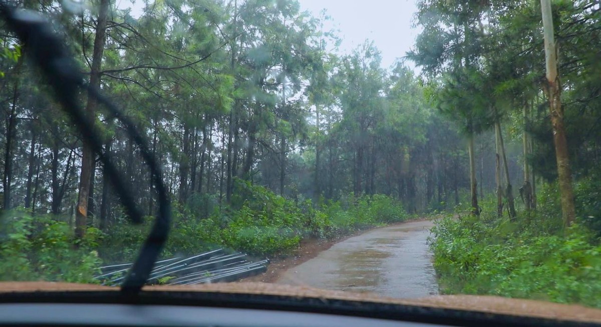 环广西8天游攻略,环广西7天自驾游