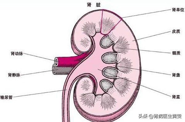 女性口干眼干是什么原因,女性眼干口干舌燥是肝病吗