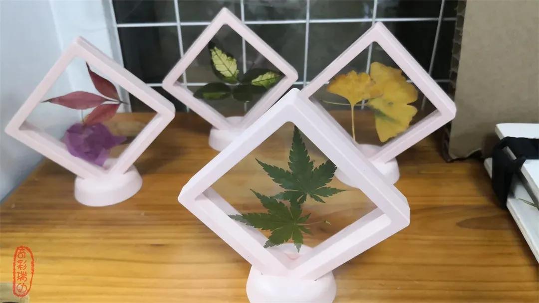 最美的风景美丽的校园,最美的风景就是校园