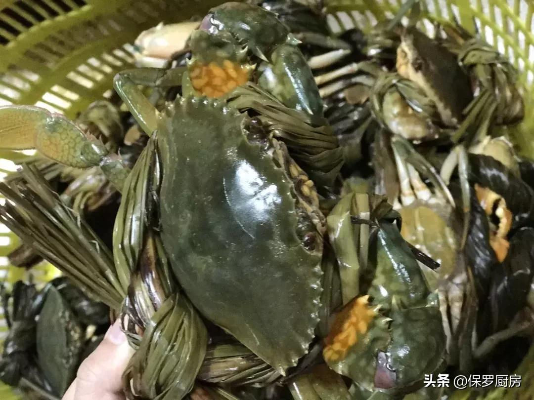 海鲜大荟萃,常见贝壳类海鲜