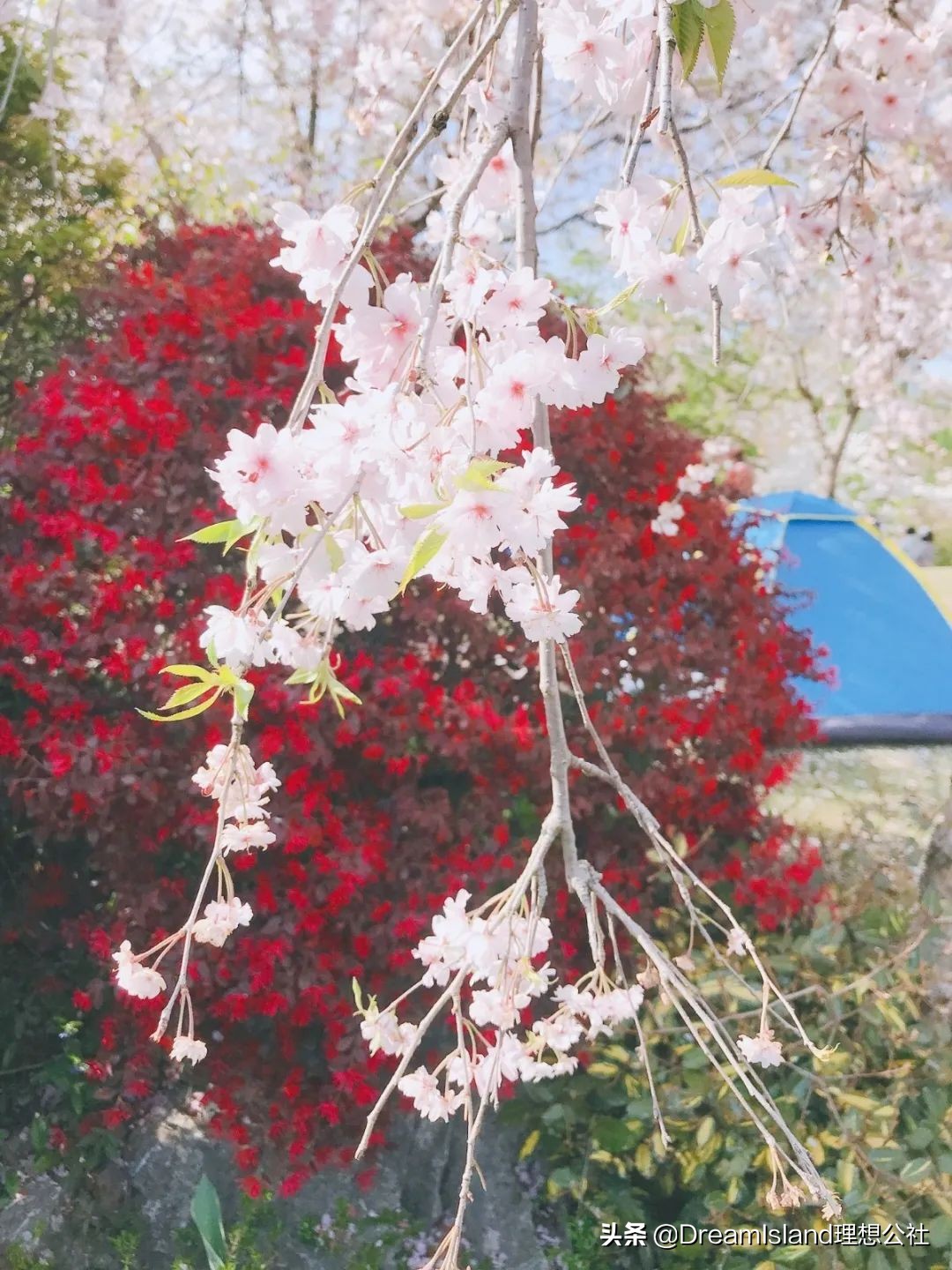 美妆好物狂欢粉底液,适合春天的粉底液