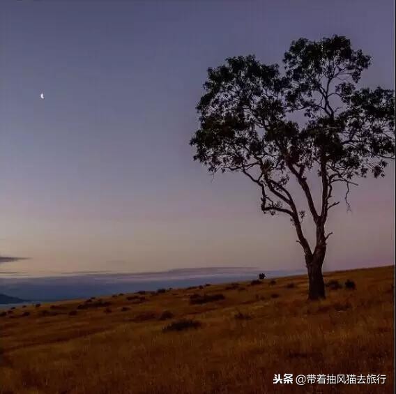 澳大利亚极致之旅,来澳大利亚必买