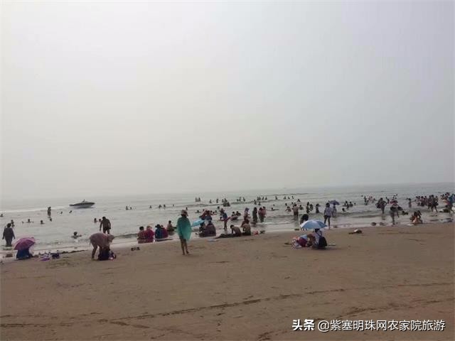 绉︾殗宀涙梾娓稿彲浠ュ嚭娴锋崟楸肩殑鍦版柟 (绉︾殗宀涚墽娴疯繙鑸啘瀹堕櫌)