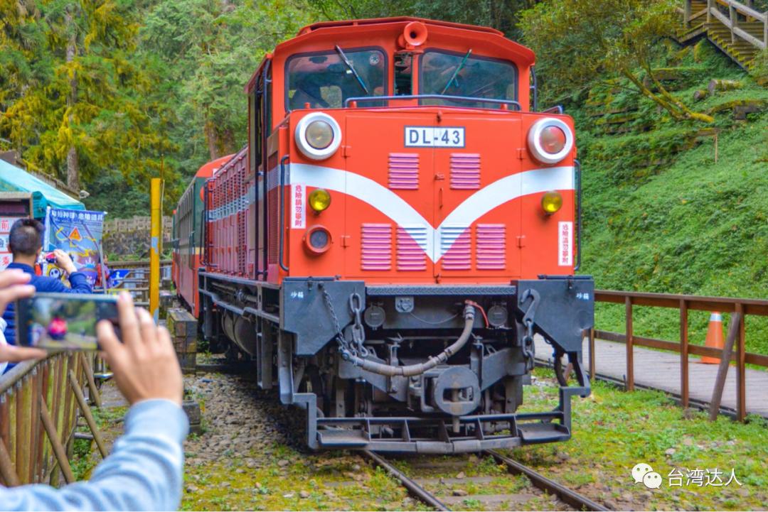 阿里山风景优美令人神往的好地方,阿里山有多美